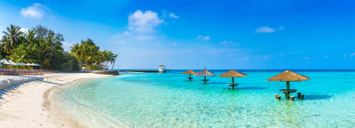 Caribbean Paradise